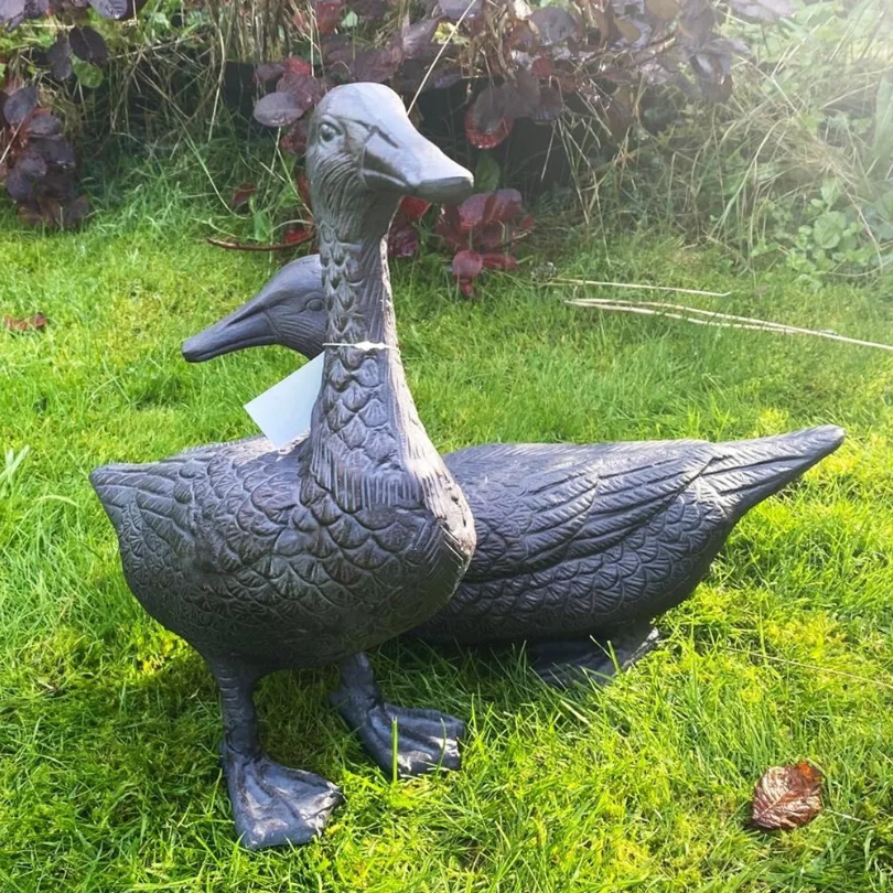 Pair of Ducks - Image 4