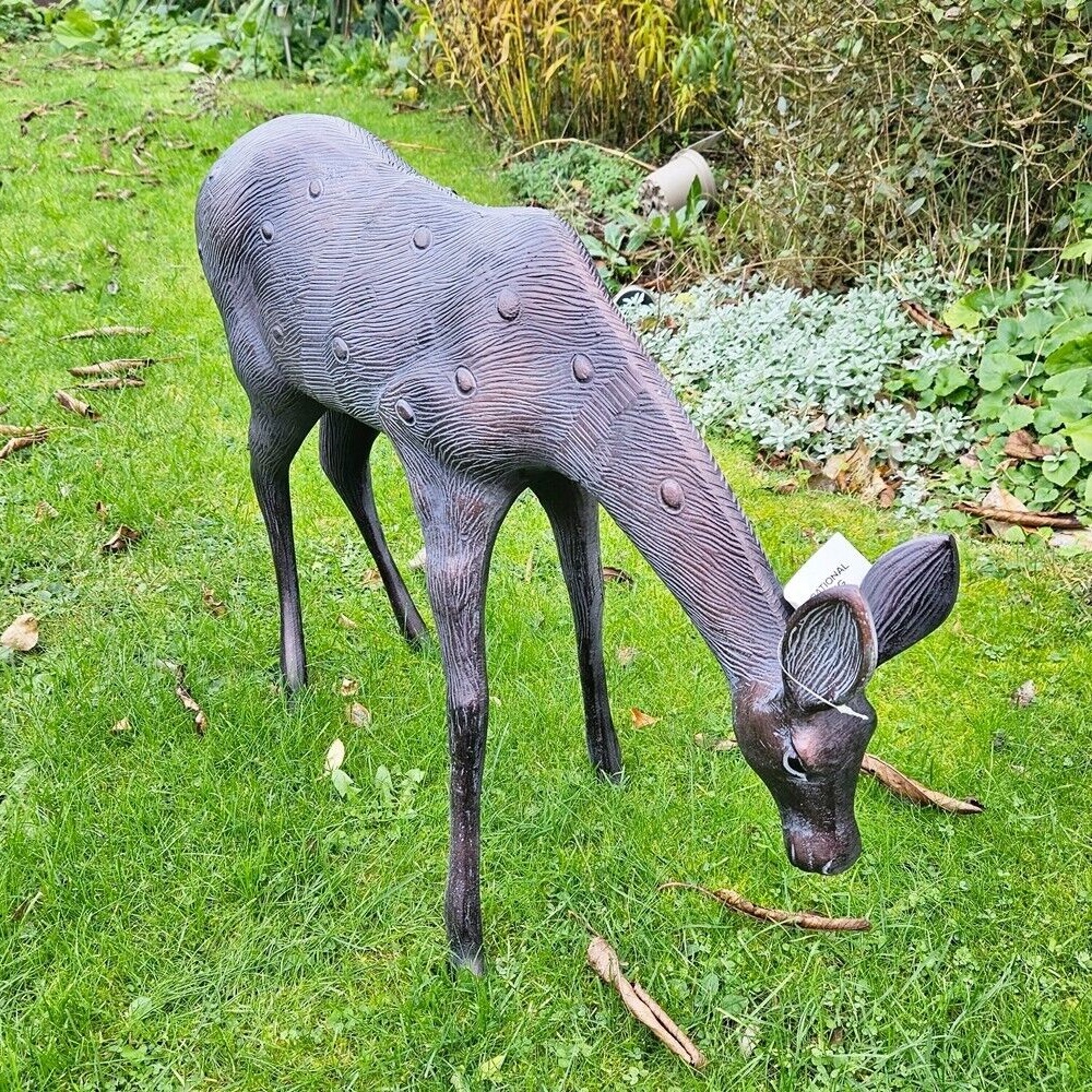 Doe Large