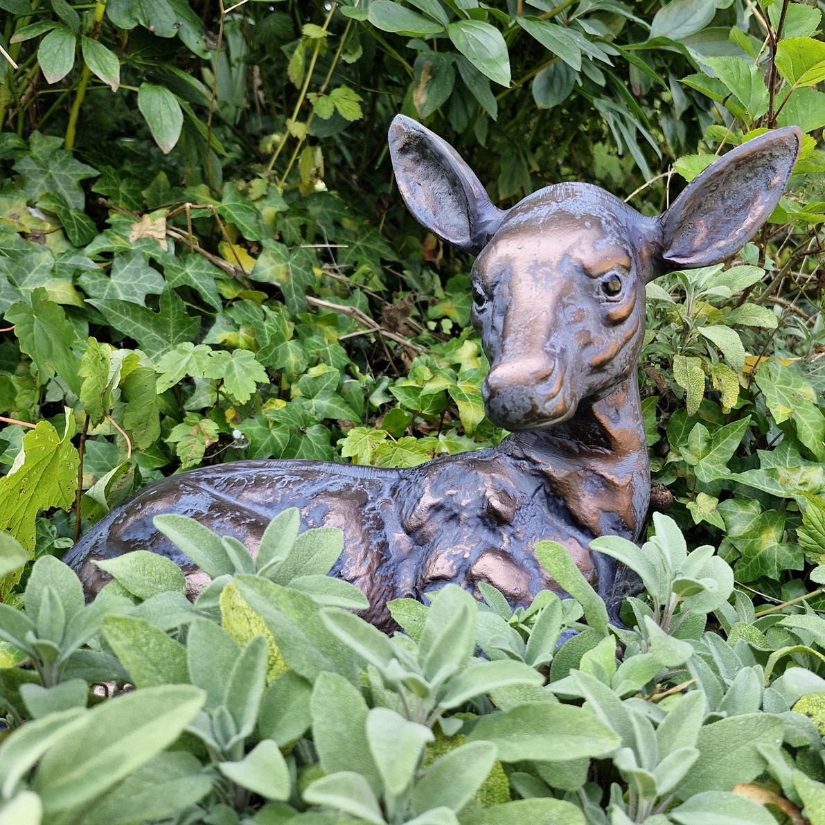 Fawn - Image 2