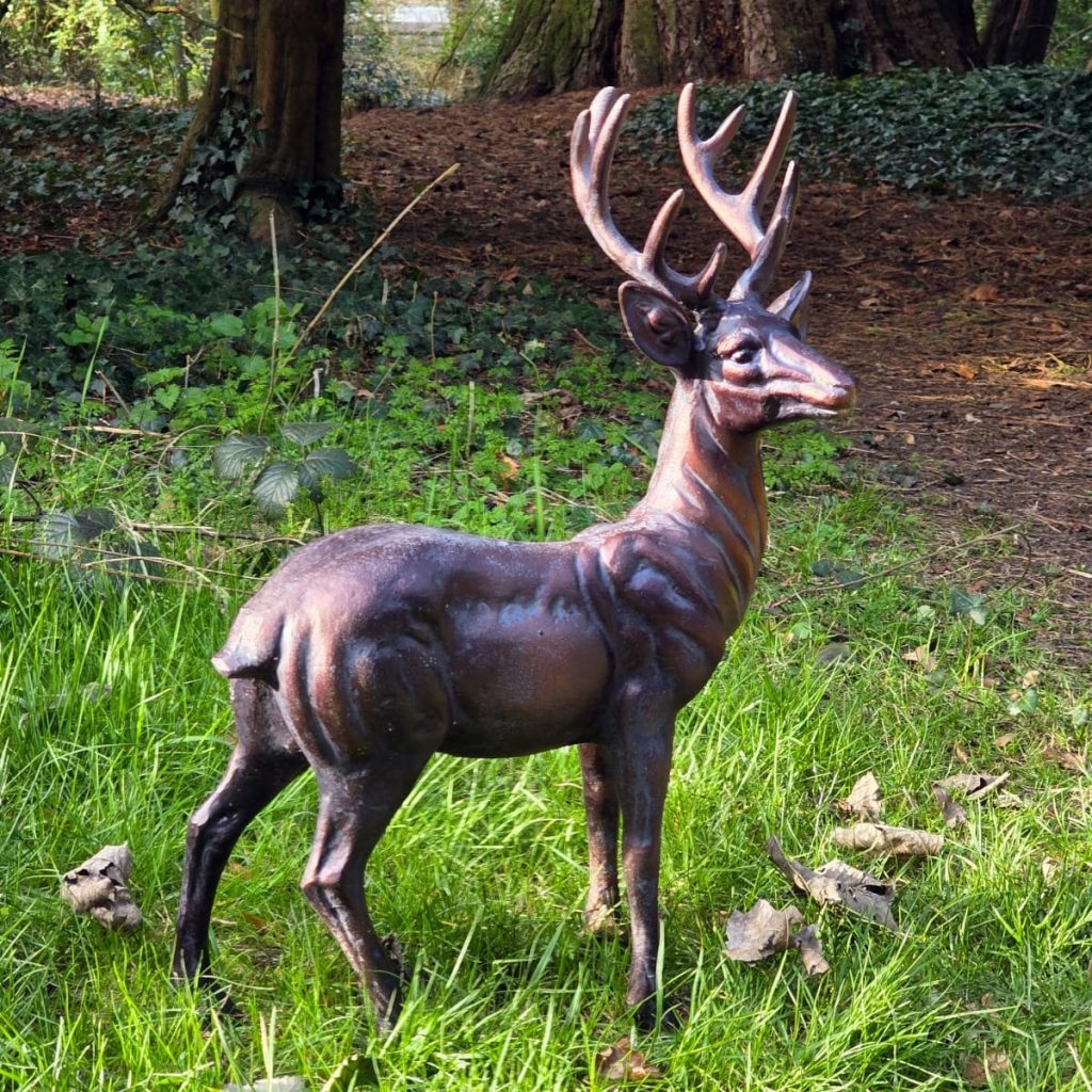 Stag Standing