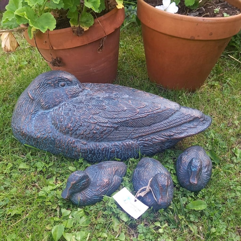 Duck and 3 Ducklings