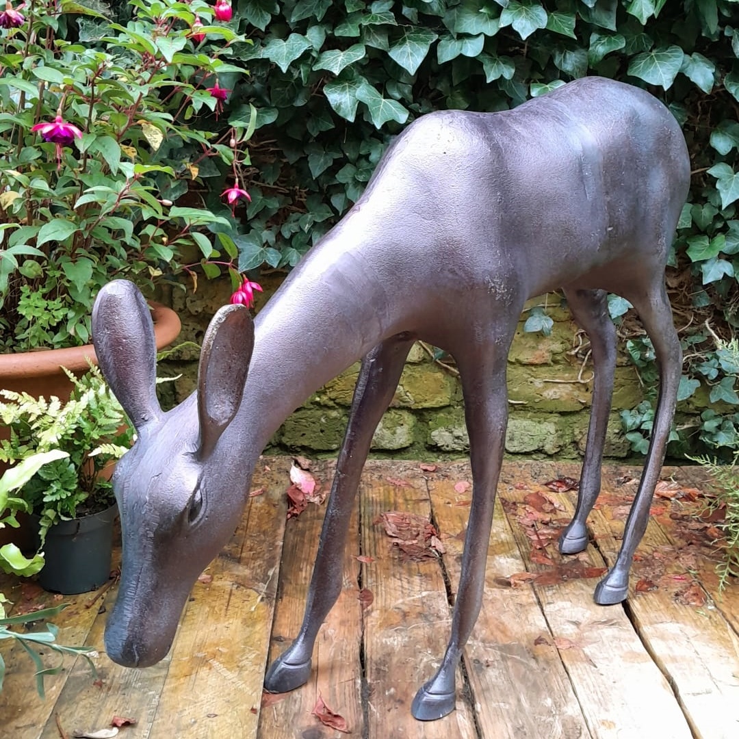 Doe Extra Large