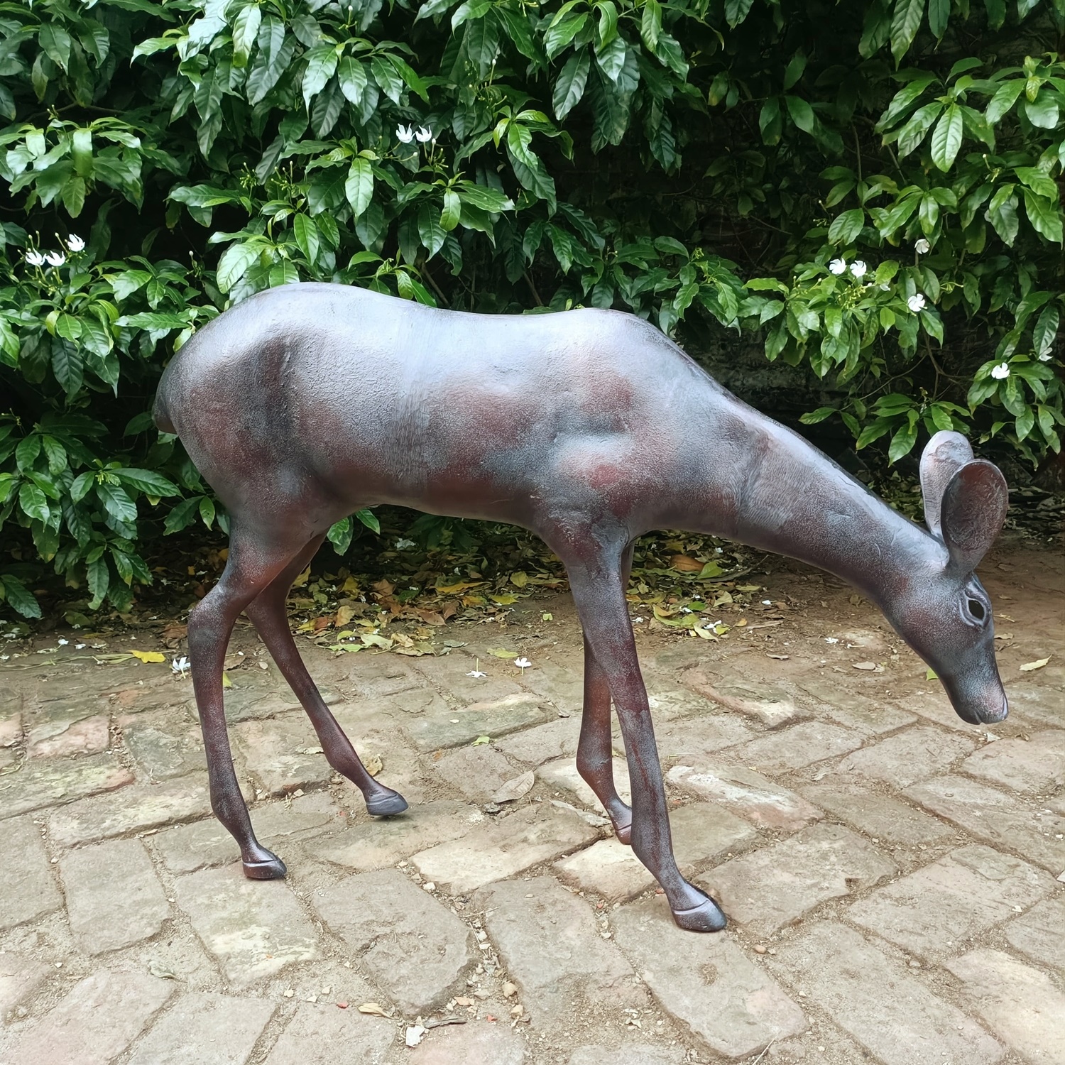 Doe Extra Large - Image 2