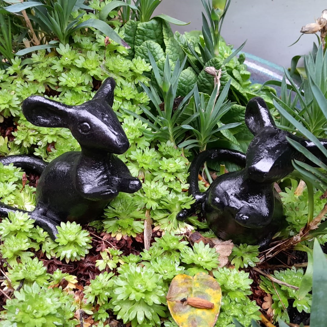 Pair of Mice - Image 3