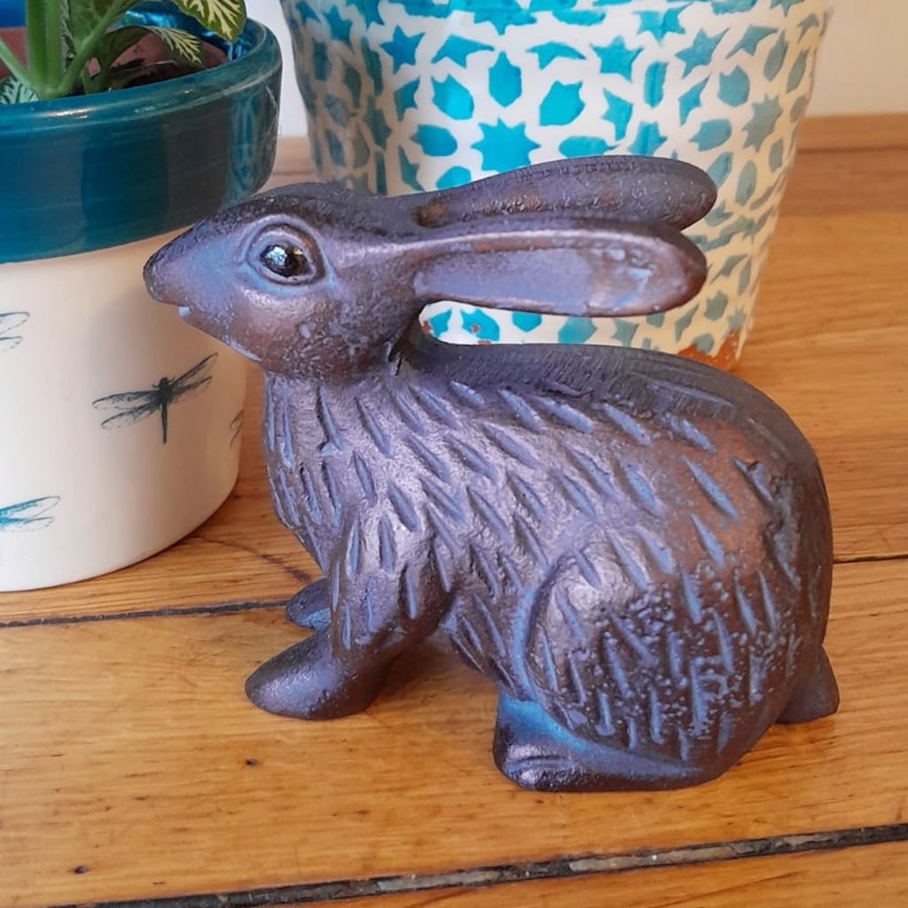 Small Rabbit
