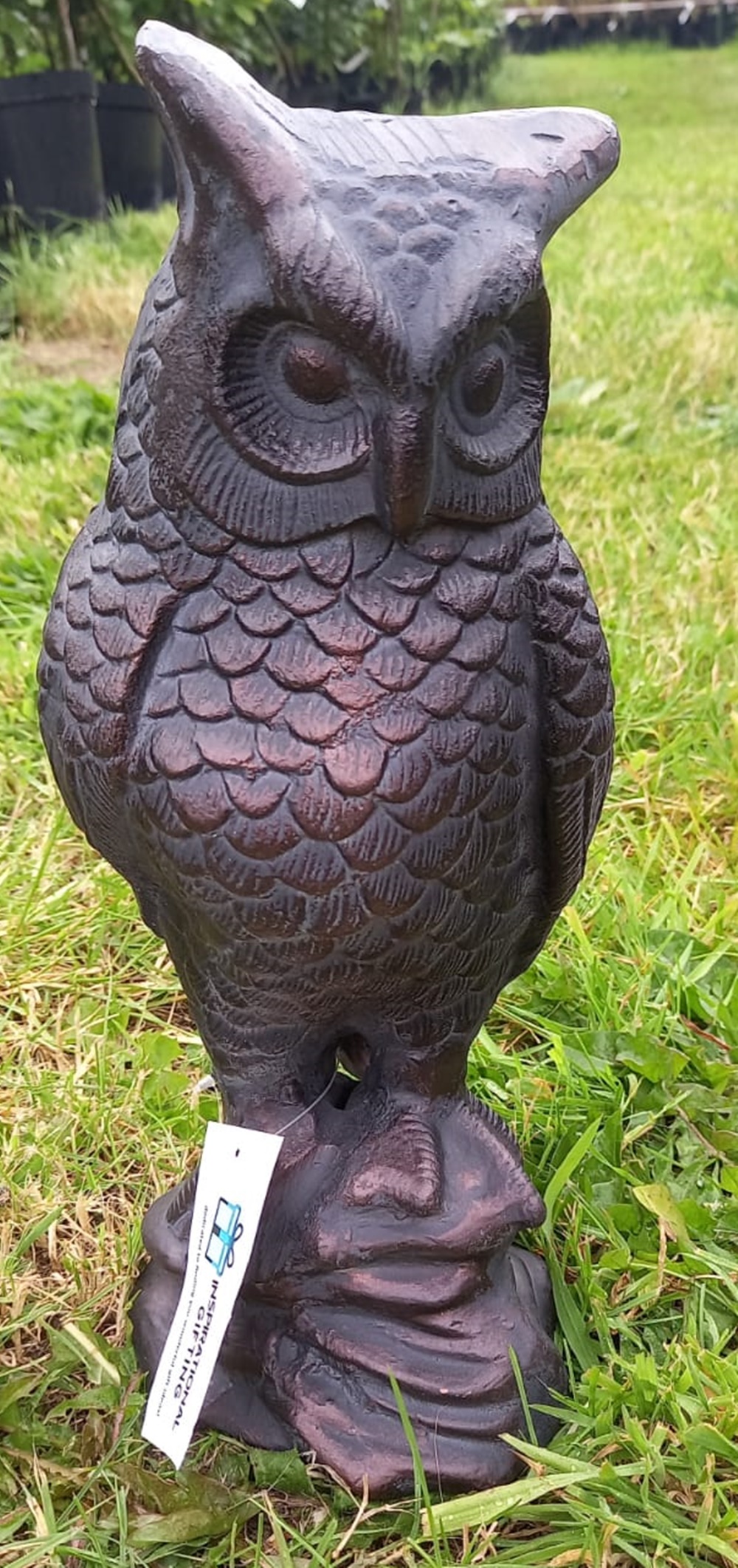 Large Long Eared Owl Garden Sculpture - Image 5