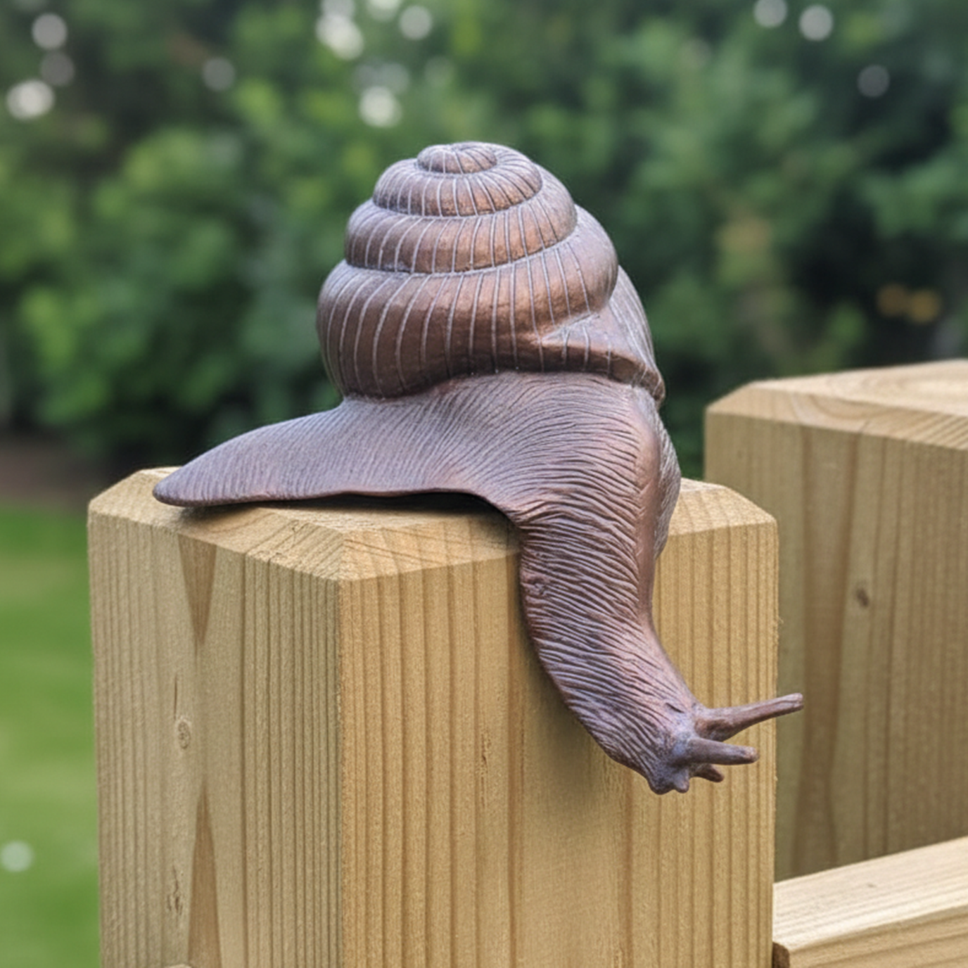 Corner Snail - Image 2